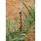 Rain Birdoratio Rain Bird For 1/4 in. Tubing Drip Irrigation Tubing Stake 12 in. H 1 pk RISER1PKS - alternate 3